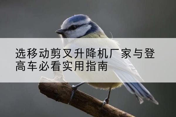凤凰电动升降机厂家-选移动剪叉升降机厂家与登高车必看实用指南