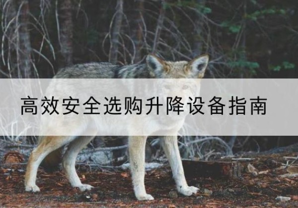凤凰升降货梯厂家推荐-*安全选购升降设备指南
