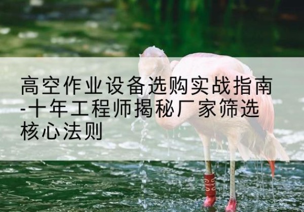凤凰剪叉式升降机厂家-高空作业设备选购实战指南-十年工程师揭秘厂家筛选核心法则